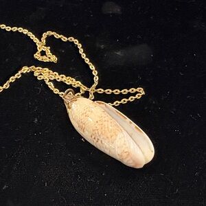 Gold Chain Seashell Pendant Necklace - Cream Shell